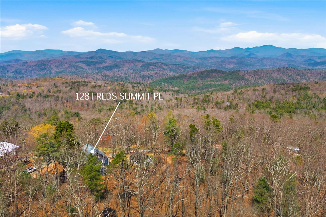 128 Freds Summit Place Mountain Rest, SC 29664 - Photo 41 of 46