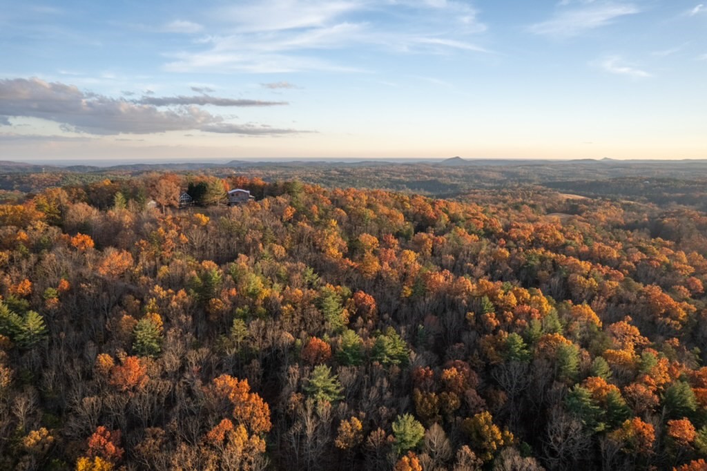 128 Freds Summit Place Mountain Rest, SC 29664 - Photo 44 of 46