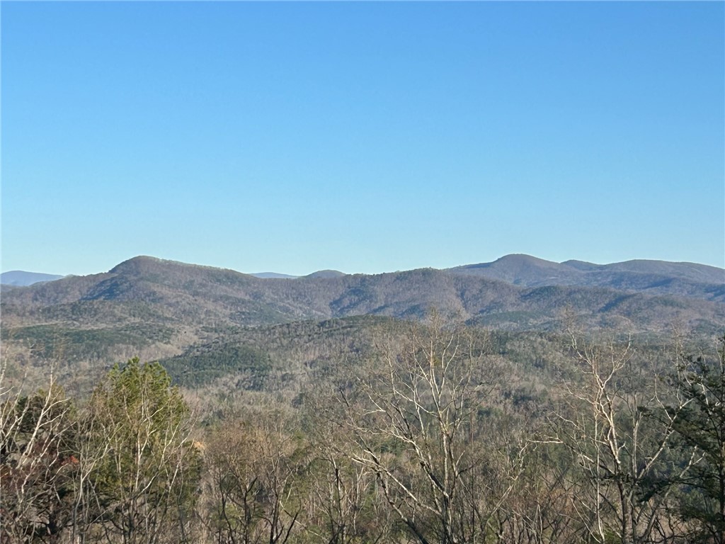 128 Freds Summit Place Mountain Rest, SC 29664 - Photo 45 of 46