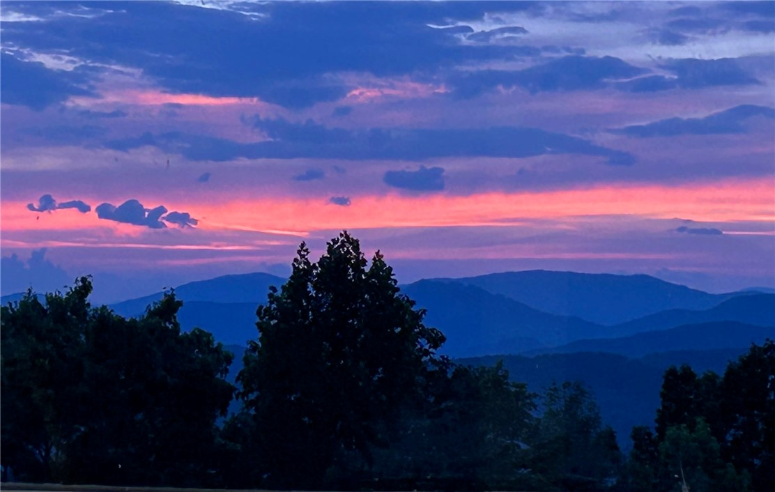 128 Freds Summit Place Mountain Rest, SC 29664 - Photo 46 of 46