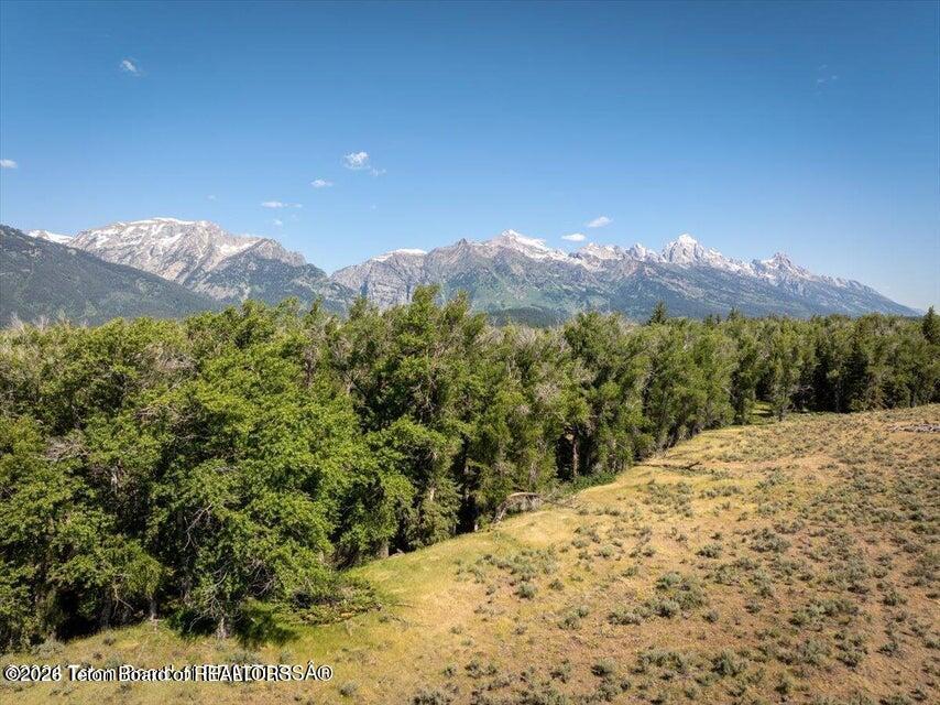 300 Reed Drive Jackson, WY 83001 - Photo 11 of 14 300 pic4