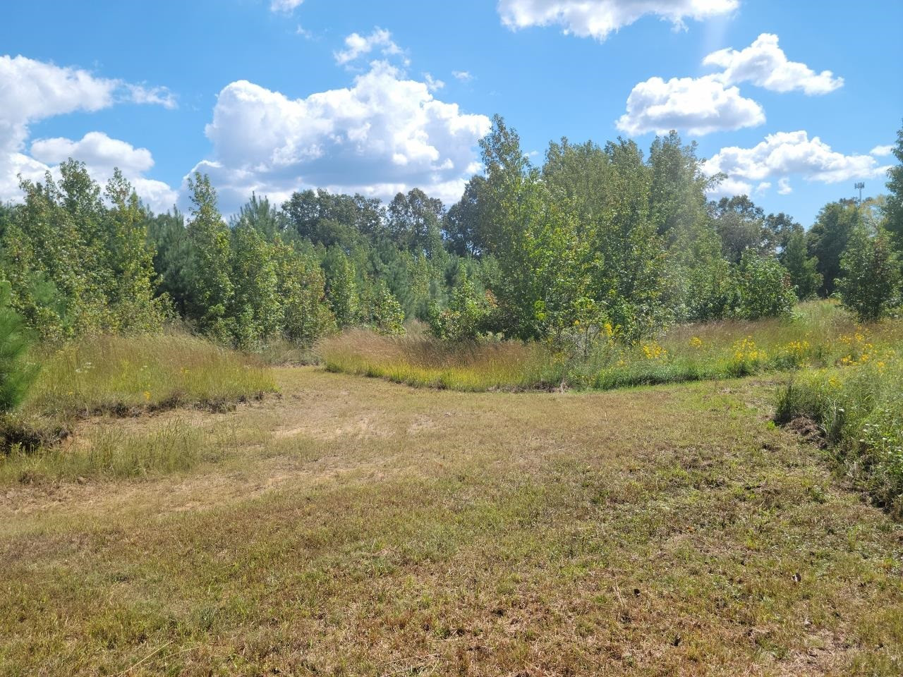 0 Station Road Beech Bluff, TN 38313 - Photo 1 of 5 Photo 1