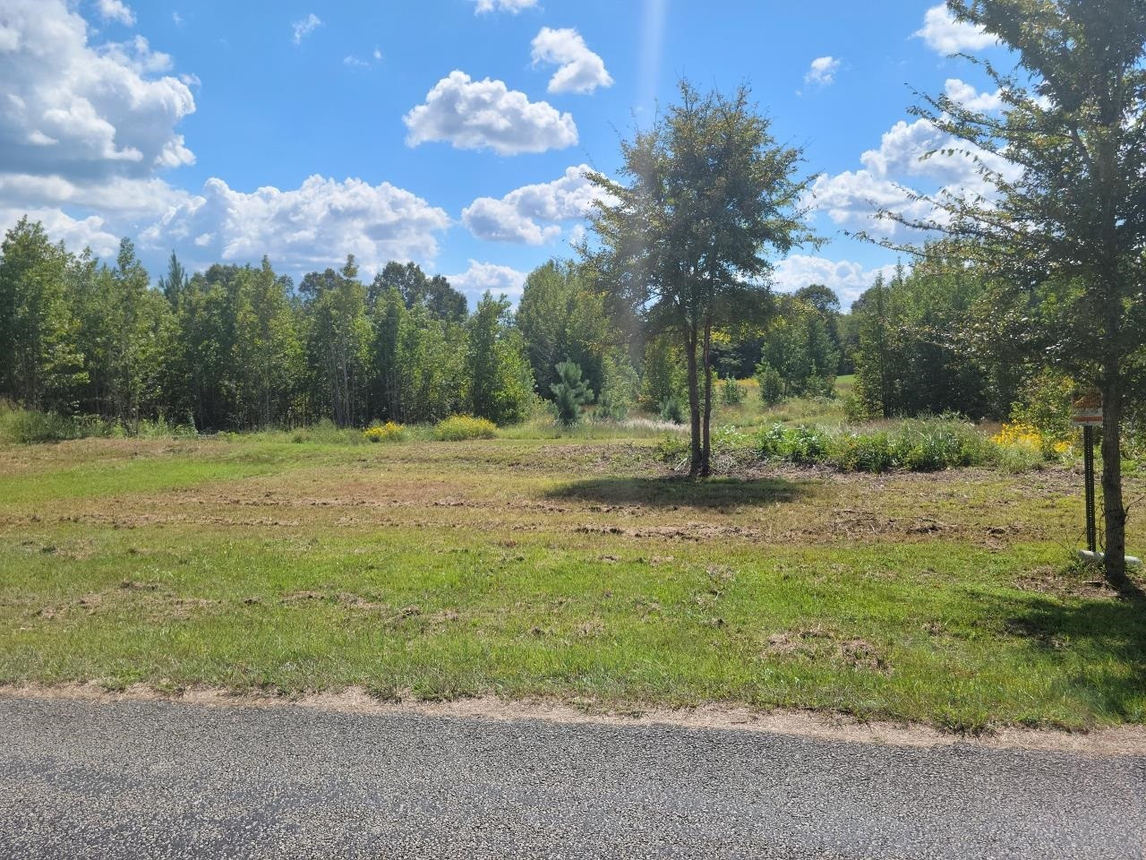 0 Station Road Beech Bluff, TN 38313 - Photo 4 of 5 Photo 4