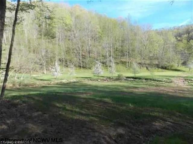 0 Linger Run Horner, WV 26372 - Photo 4 of 8 Gallery Image 4