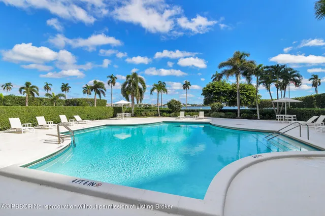 a view of a swimming pool that has lawn chairs with plants