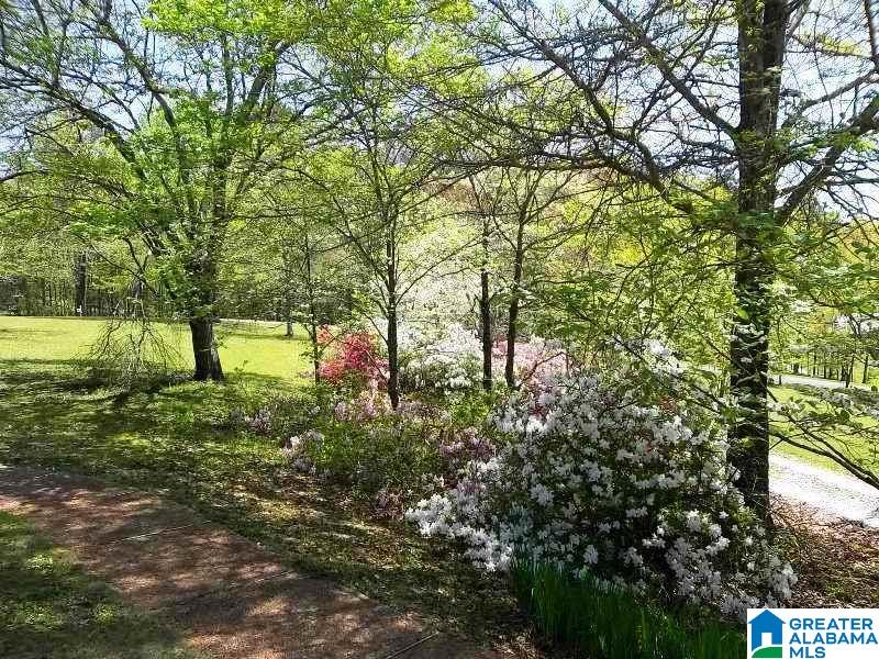 124 Pine Ridge Drive Lineville, AL 36266 - Photo 2 of 24 Gallery Image 2