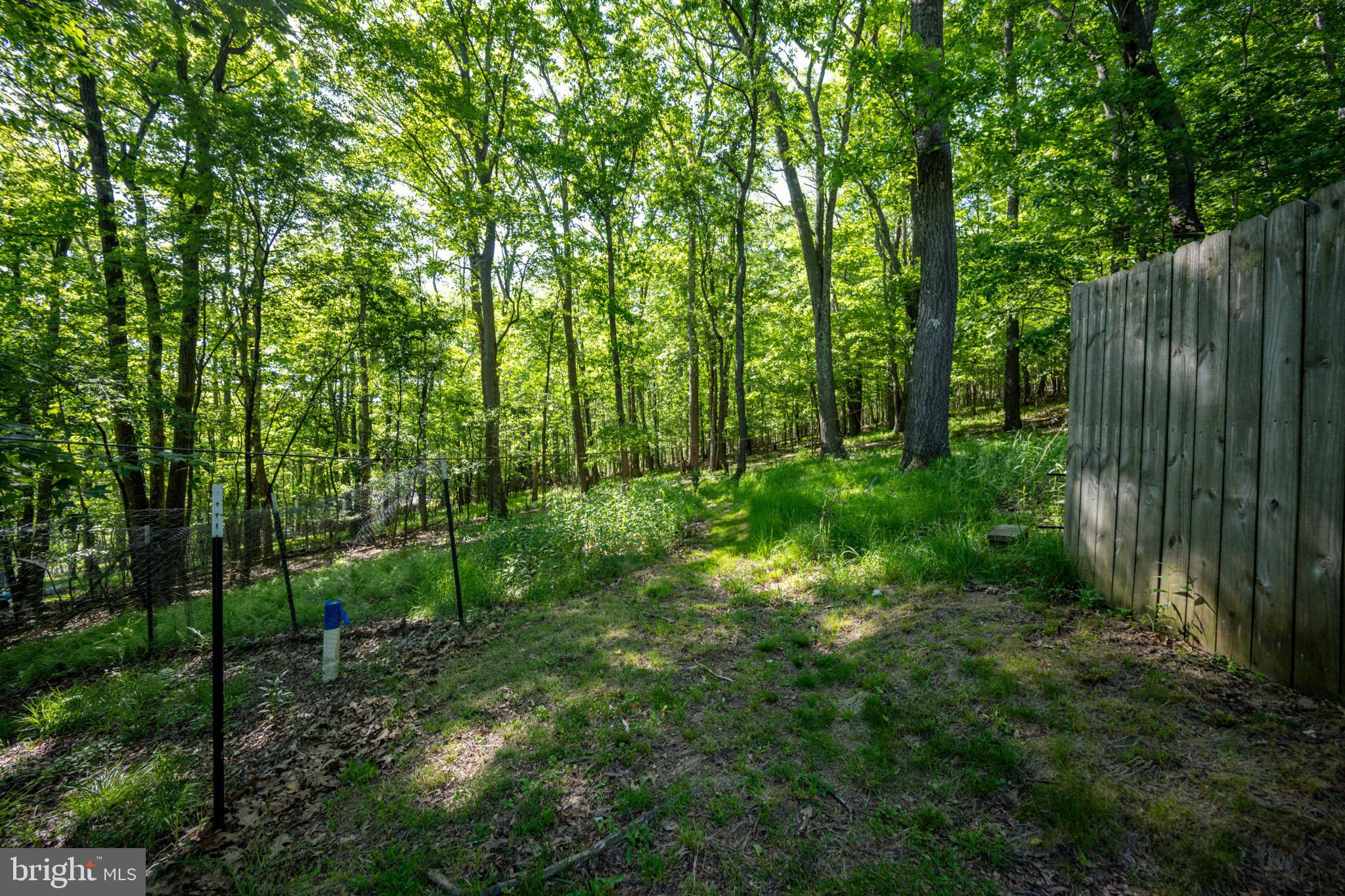 1256 Boiling Spring Road Oakland, MD 21550 - Photo 5 of 43