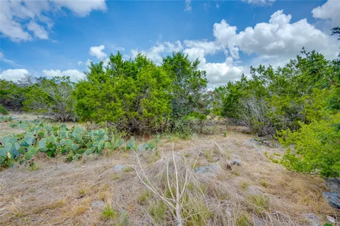 a view of a bunch of trees and bushes
