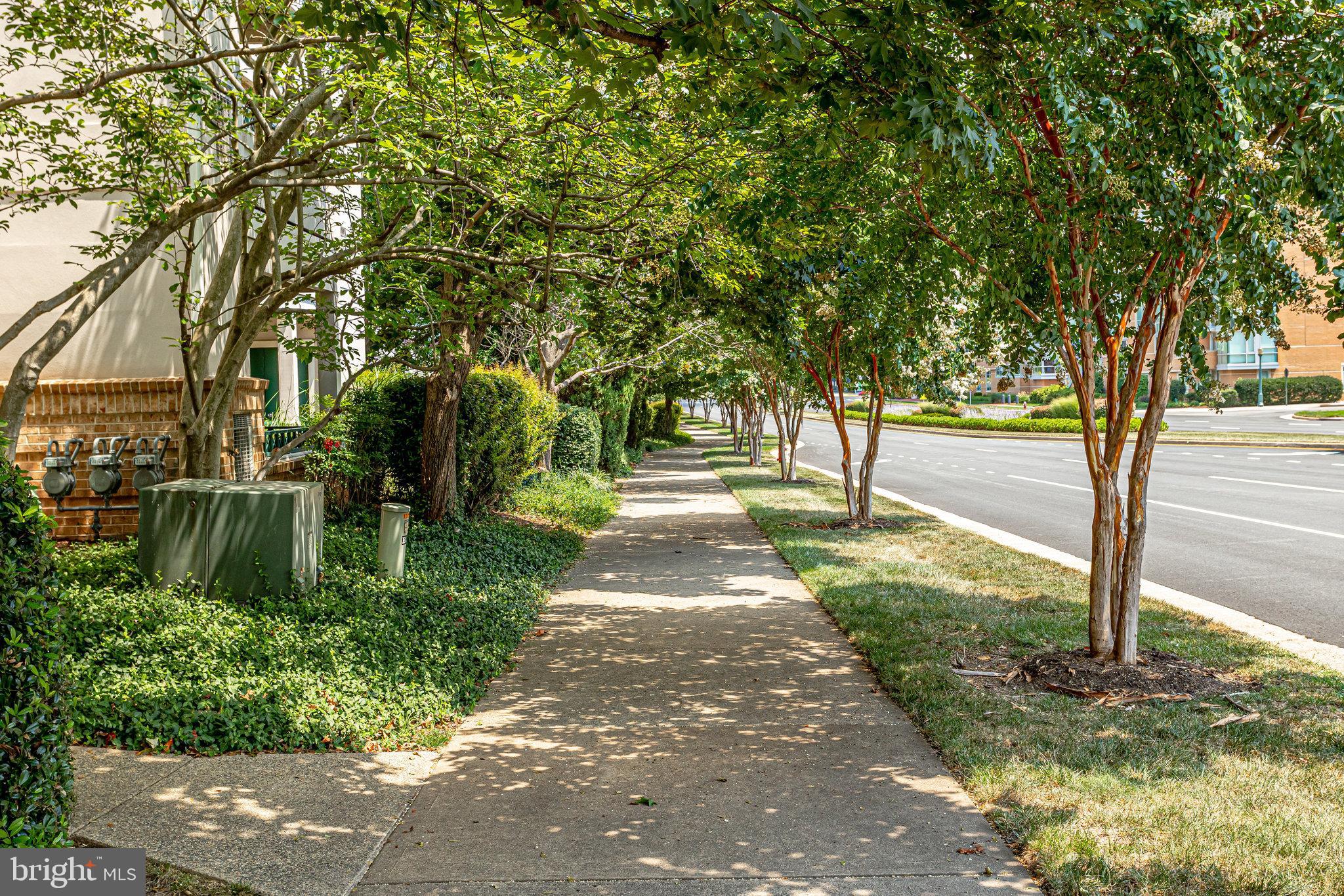 12013 Taliesin Place, Unit 31 Reston, VA 20190 - Photo 10 of 79
