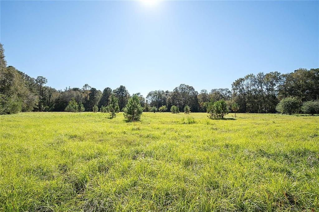 78458 Robert Penton Road Bush, LA 70431 - Photo 17 of 25 Gallery Image 17