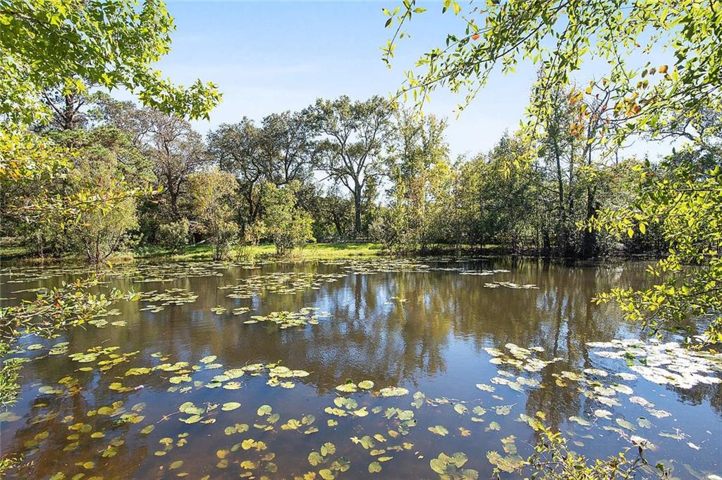 78458 Robert Penton Road Bush, LA 70431 - Photo 19 of 25 Gallery Image 19