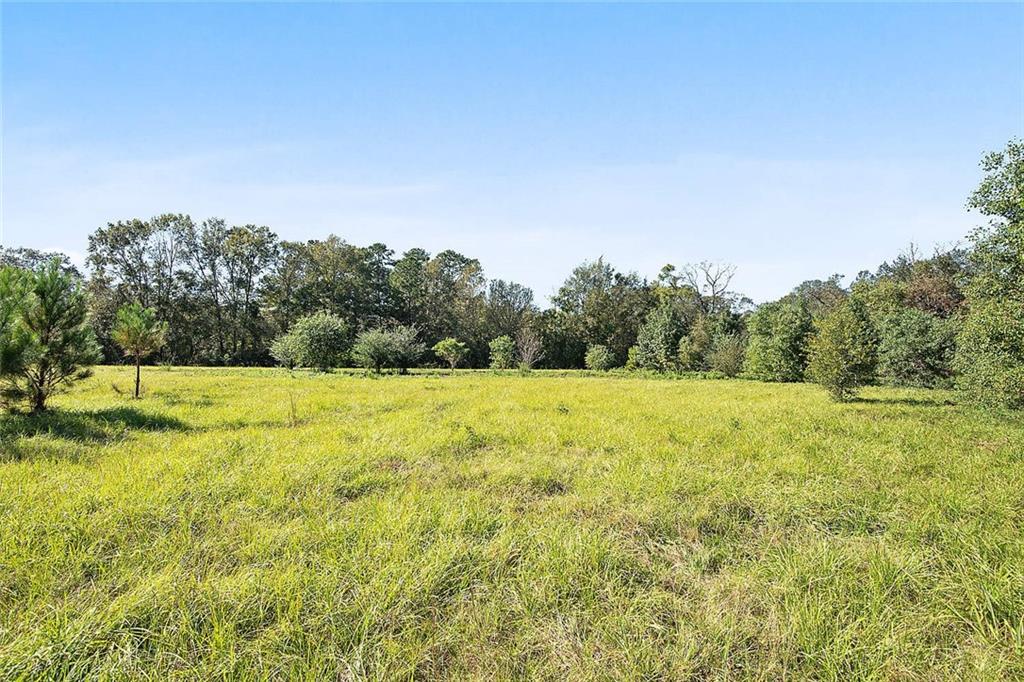 78458 Robert Penton Road Bush, LA 70431 - Photo 24 of 25 Gallery Image 24