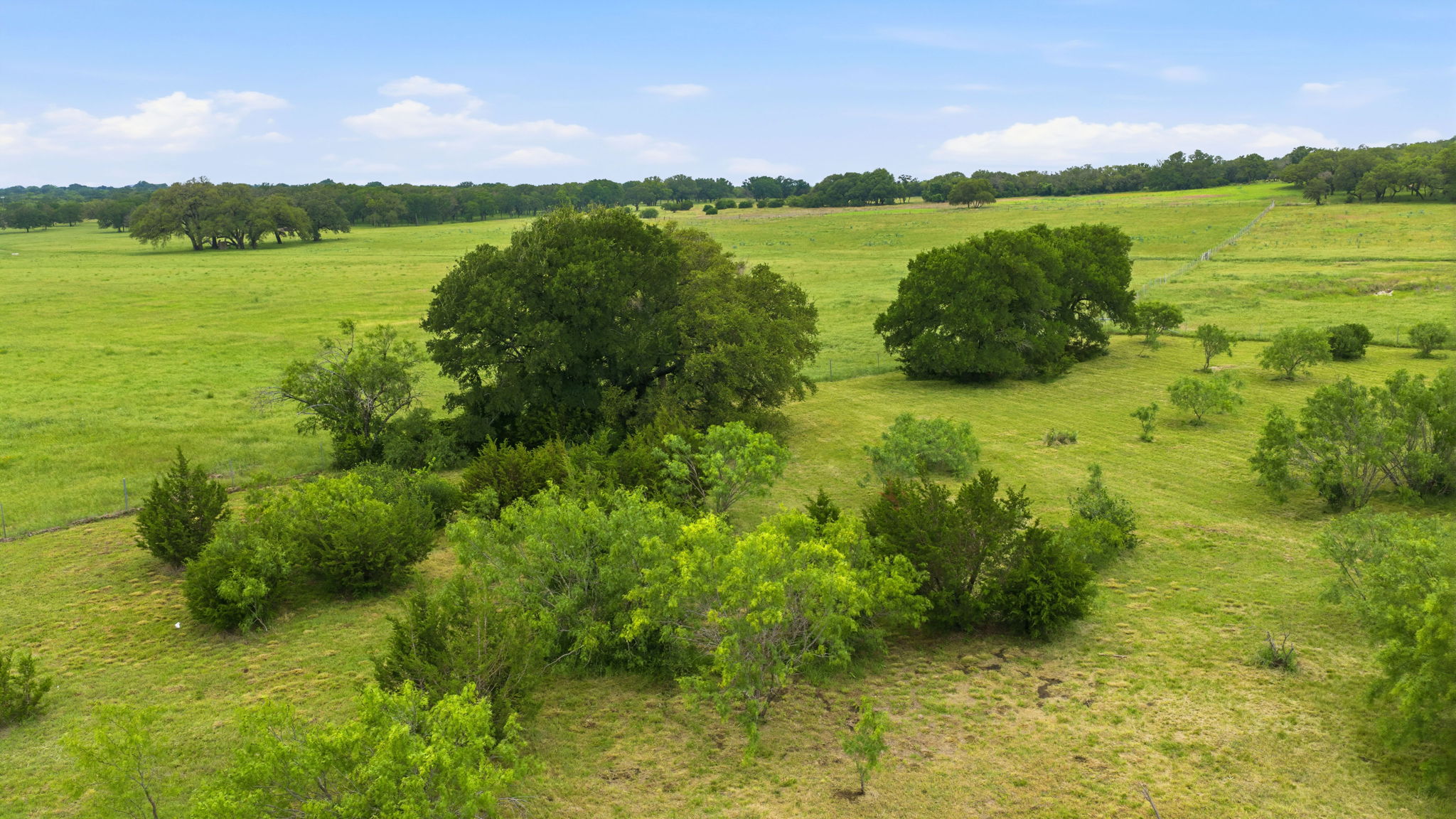 104 Round Up Circle Burnet, TX 78611 - Photo 5 of 23 Expansive green fields featuring mature trees and varied foliage under a clear sky