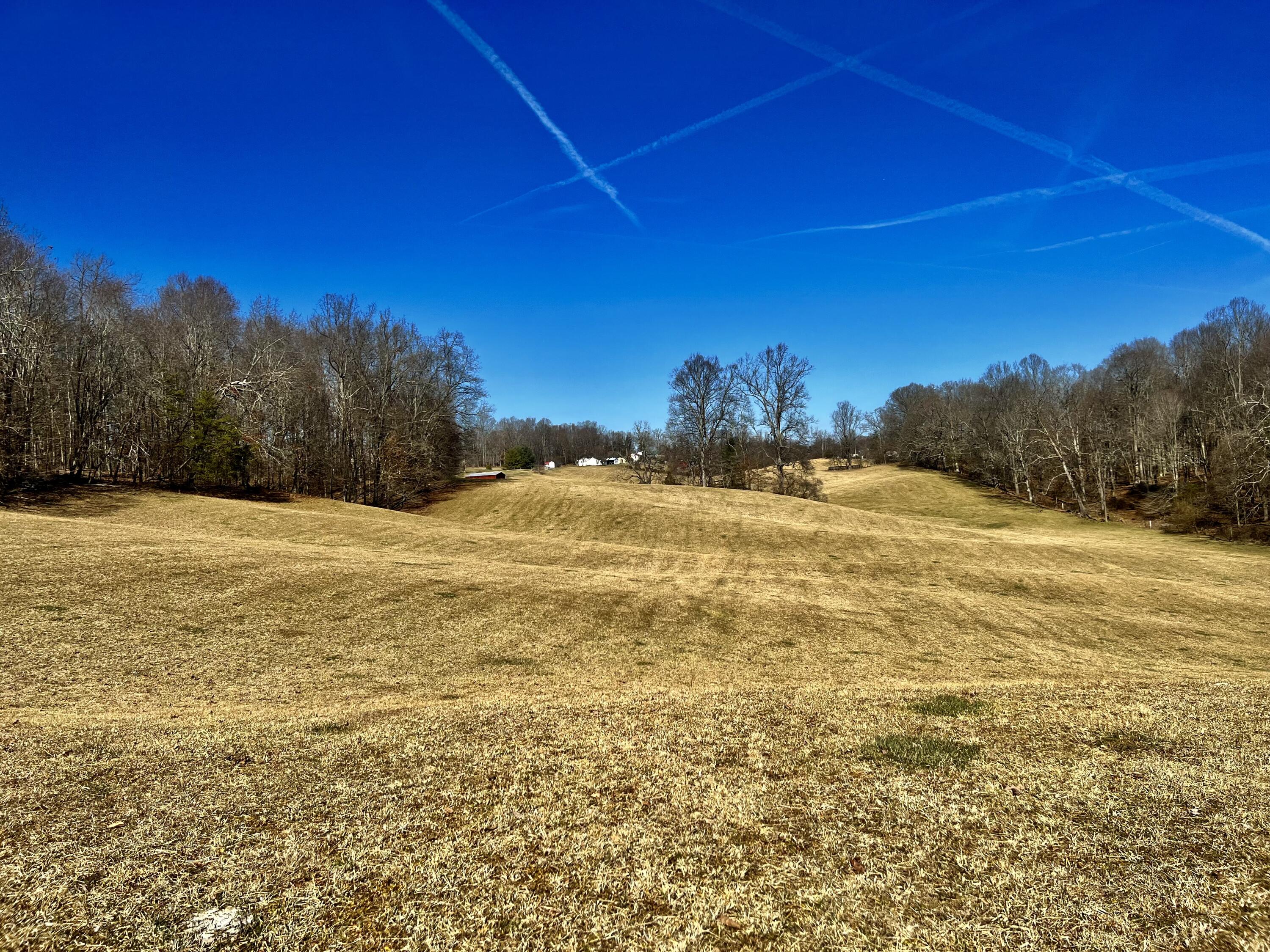 314 Matson Road Jonesborough, TN 37659 - Photo 6 of 9 IMG_1463