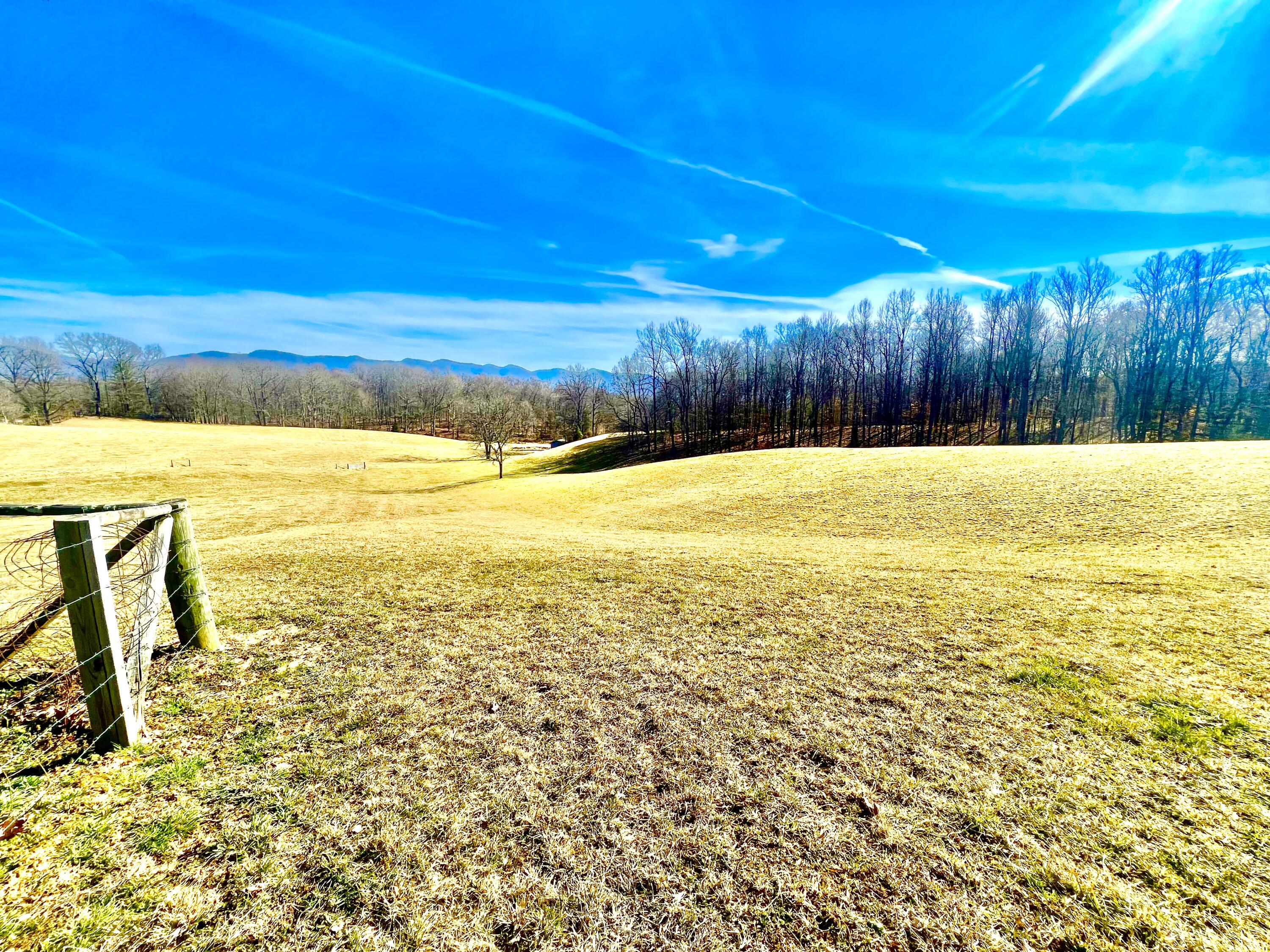 314 Matson Road Jonesborough, TN 37659 - Photo 7 of 9 IMG_1498
