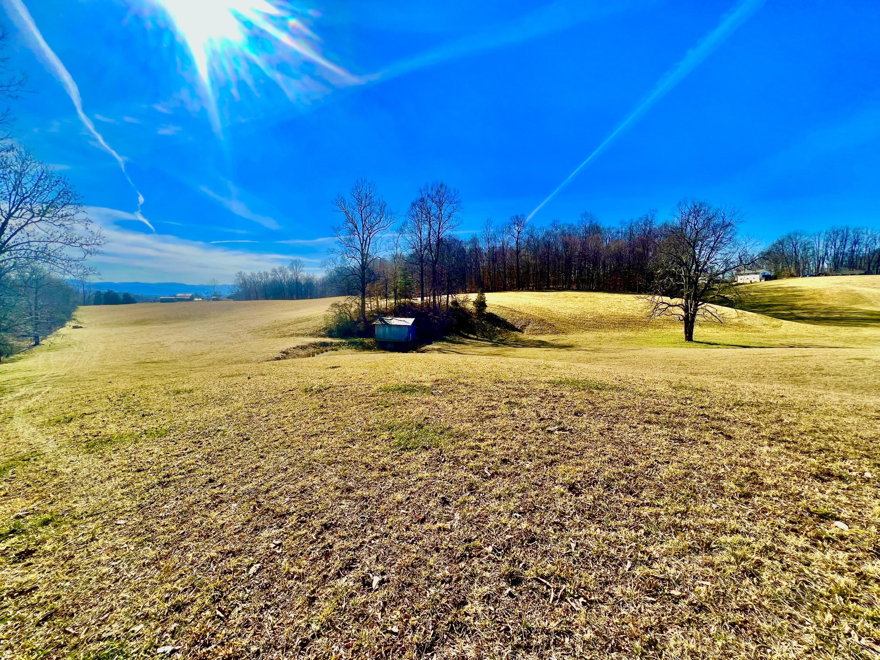 314 Matson Road Jonesborough, TN 37659 - Photo 8 of 9 IMG_1495