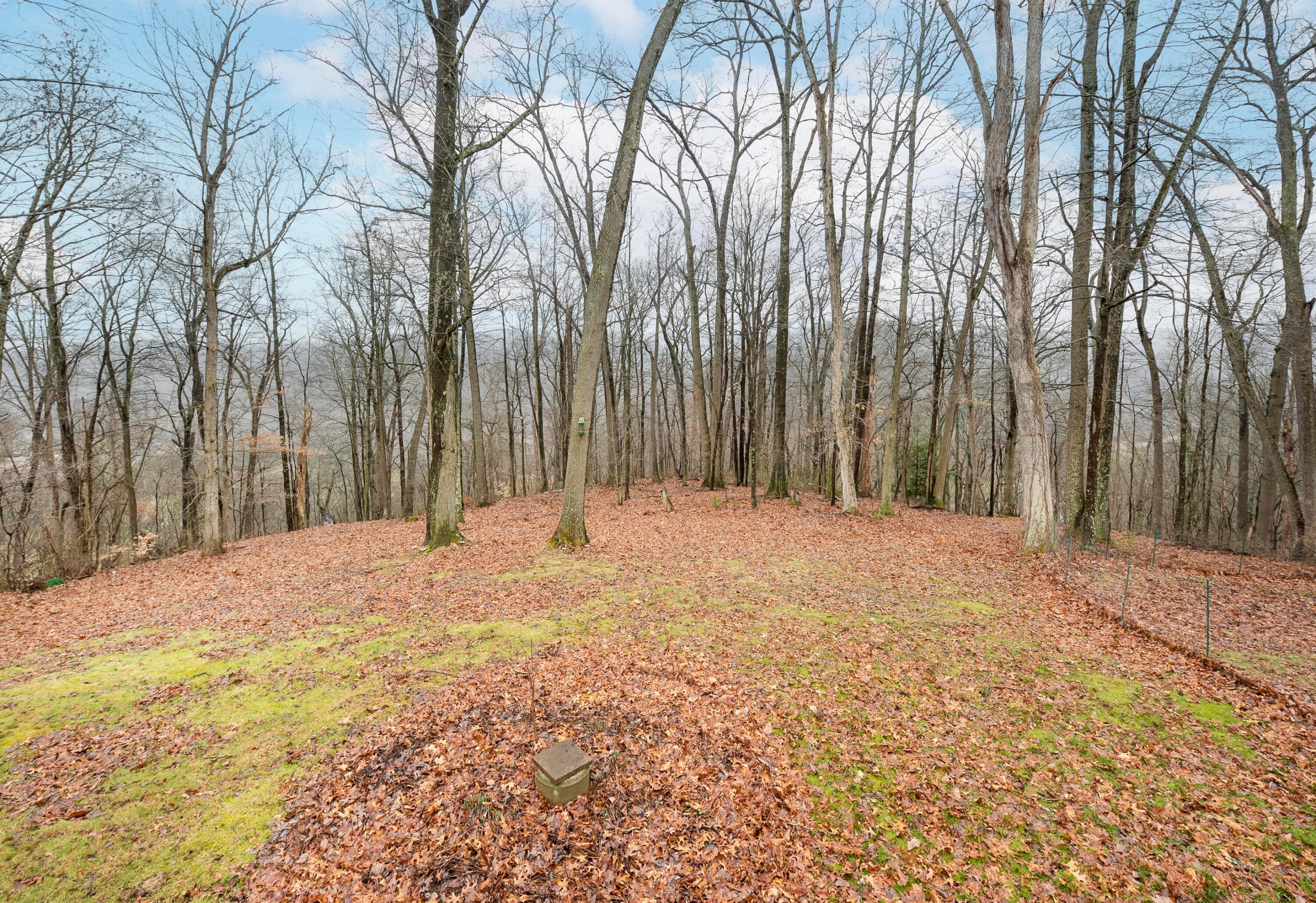 25823 Rockview Road Rockbridge, OH 43149 - Photo 46 of 75 Rear Lot