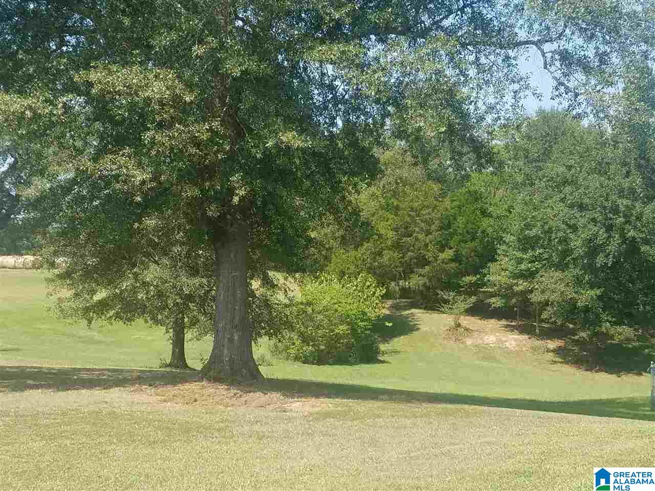 144 River Road Ohatchee, AL 36271 - Photo 8 of 29