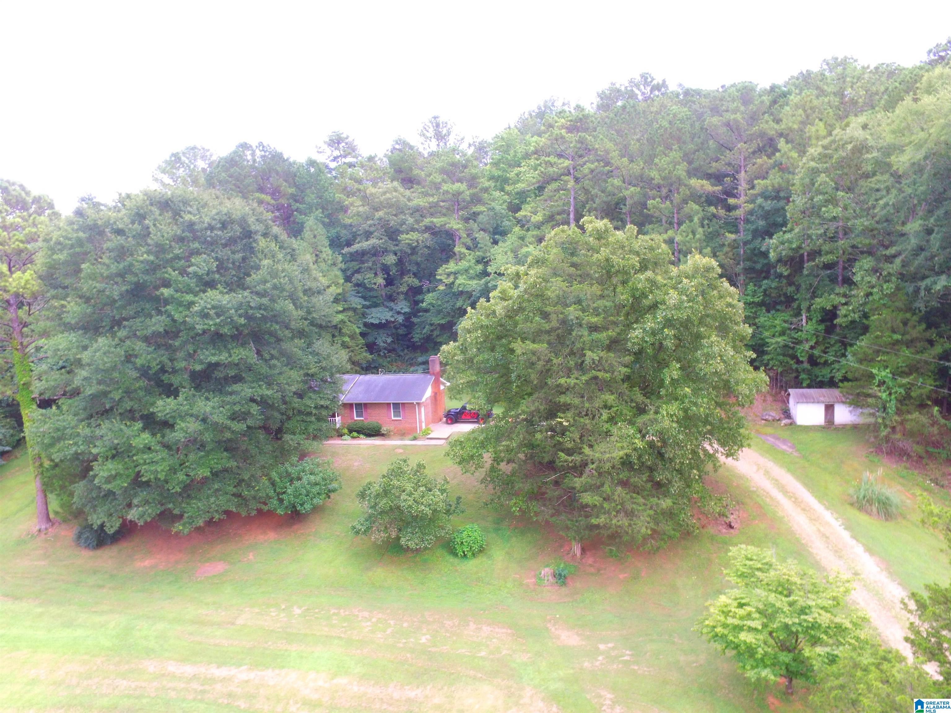 4041 Allison Mill Road Talladega, AL 35160 - Photo 15 of 53