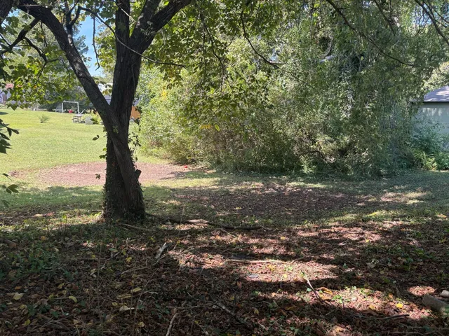 a view of a tree with a yard