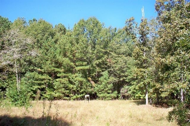 2931 Andrews Chapel Road Norwood, GA 30821 - Photo 19 of 41 Gallery Image 19