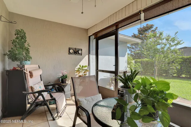 a view of a plant in a garden