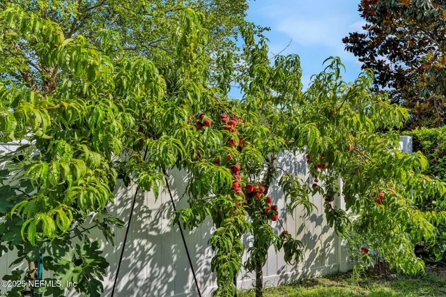 a view of a livingroom with furniture and a fireplace