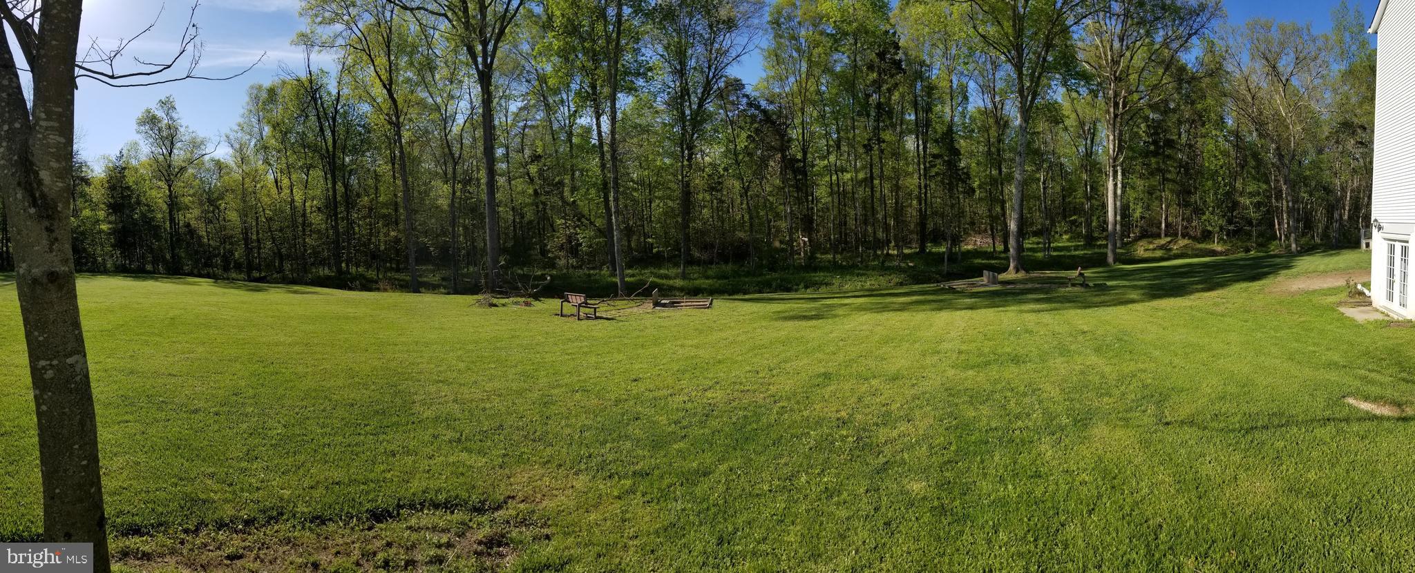 12115 Old Mill Road Midland, VA 22728 - Photo 18 of 19 Side yard