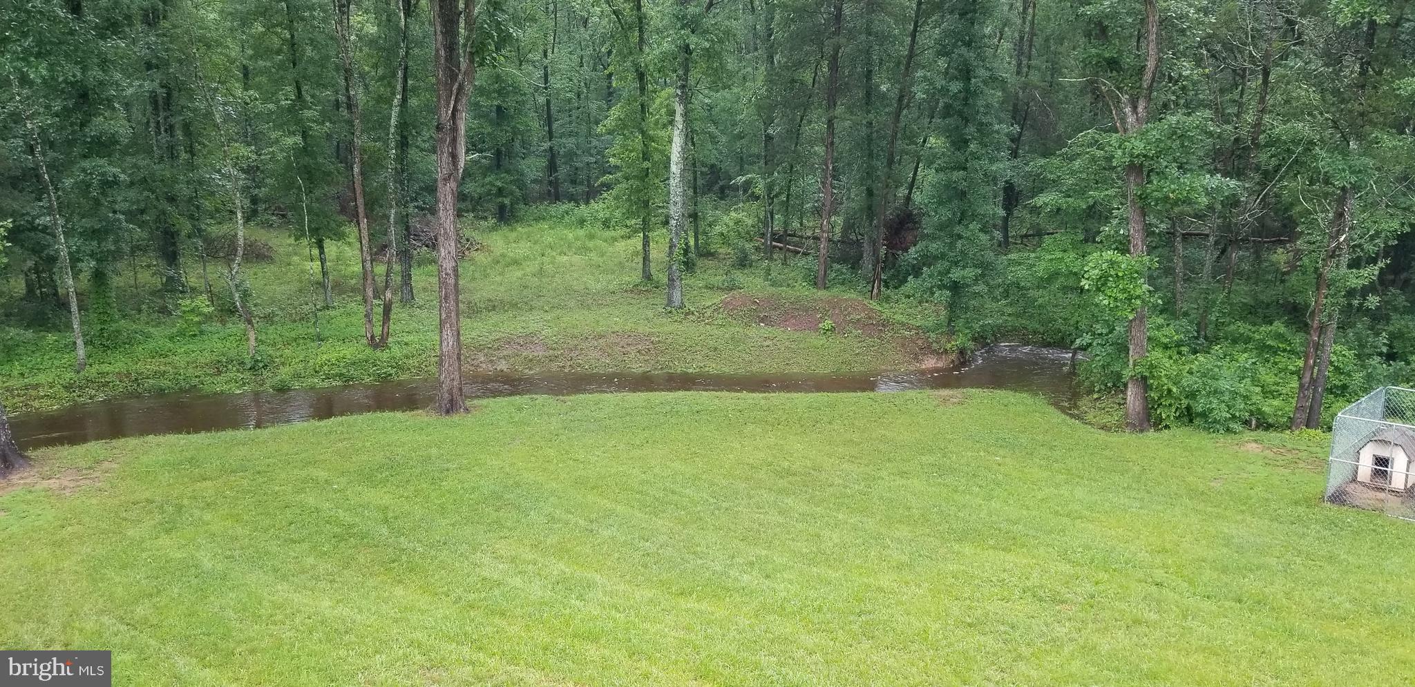 12115 Old Mill Road Midland, VA 22728 - Photo 19 of 19 The water hole for the white-tailed deer
