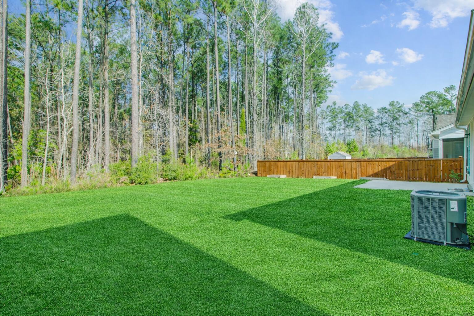 424 Eagleview Drive Moncks Corner, SC 29461 - Photo 24 of 42 backyard