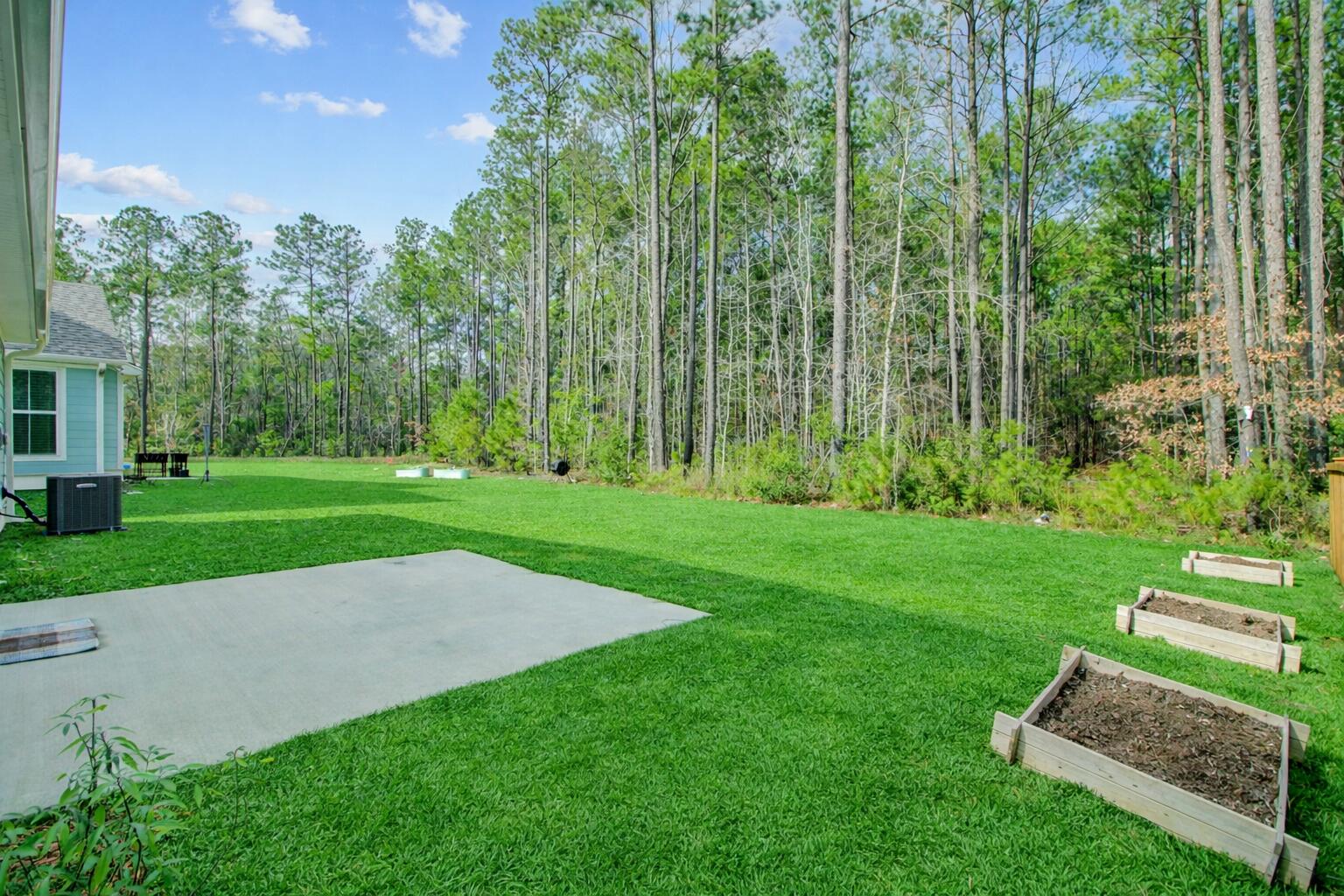 424 Eagleview Drive Moncks Corner, SC 29461 - Photo 27 of 42 backyard view