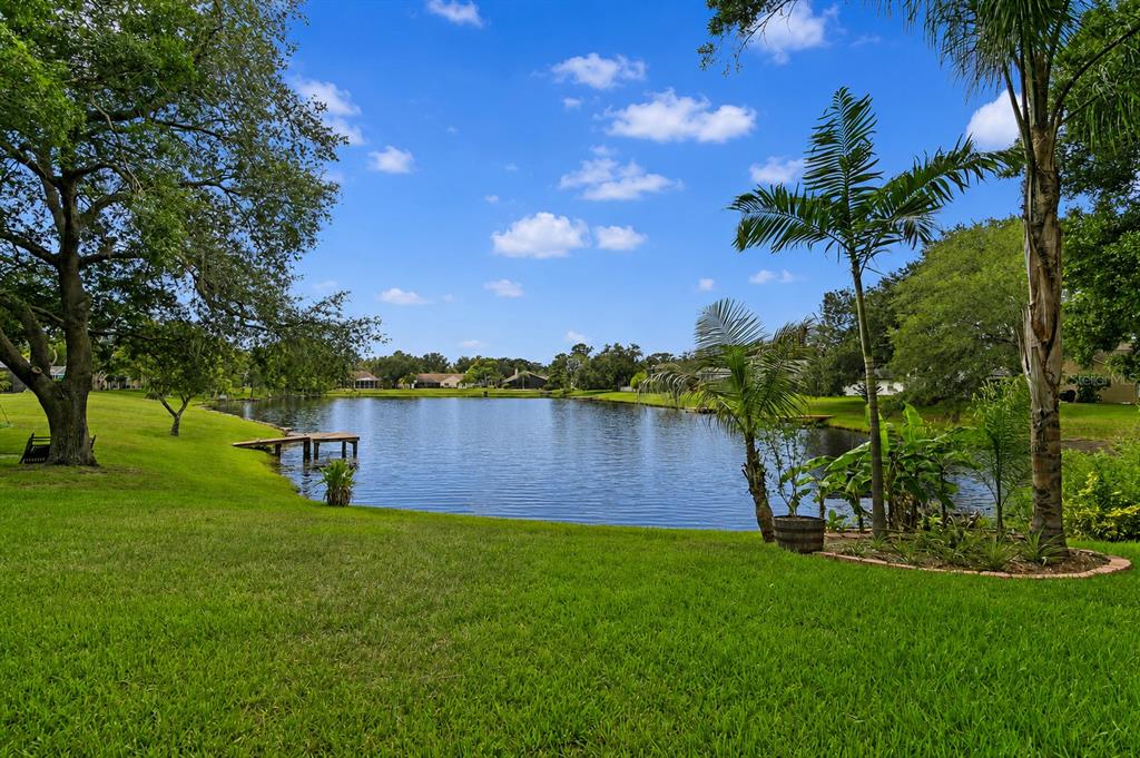 8412 Ridgebrook Circle Odessa, FL 33556 - Photo 58 of 87