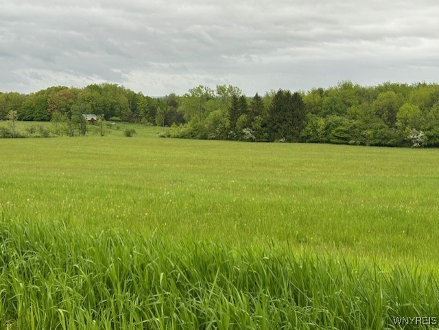 985 Sierk Road Bennington, NY 14011 - Photo 14 of 16