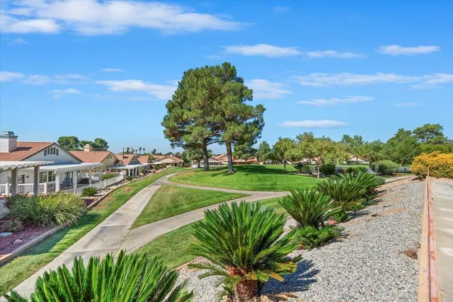 a view of a garden with an outdoor space
