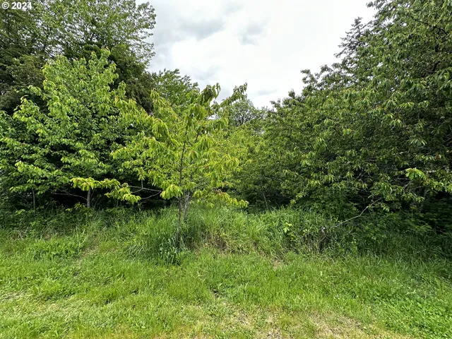 $85,000 | 0 13th Avenue, Sweet Home, OR 97386