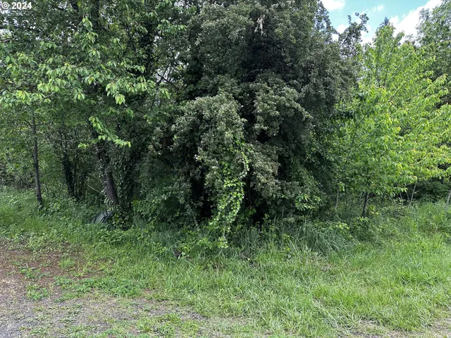 $85,000 | 0 13th Avenue, Sweet Home, OR 97386