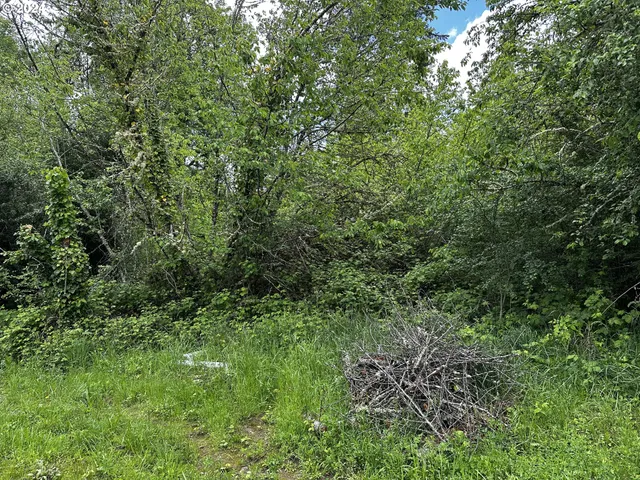 $85,000 | 0 13th Avenue, Sweet Home, OR 97386