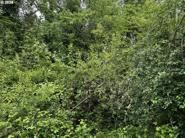 $85,000 | 0 13th Avenue, Sweet Home, OR 97386