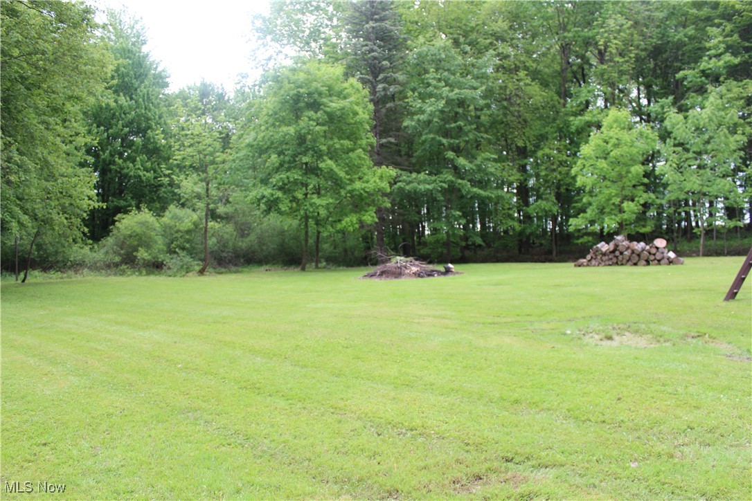 666 East Windsor Road Orwell, OH 44076 - Photo 30 of 33 View of grassy yard