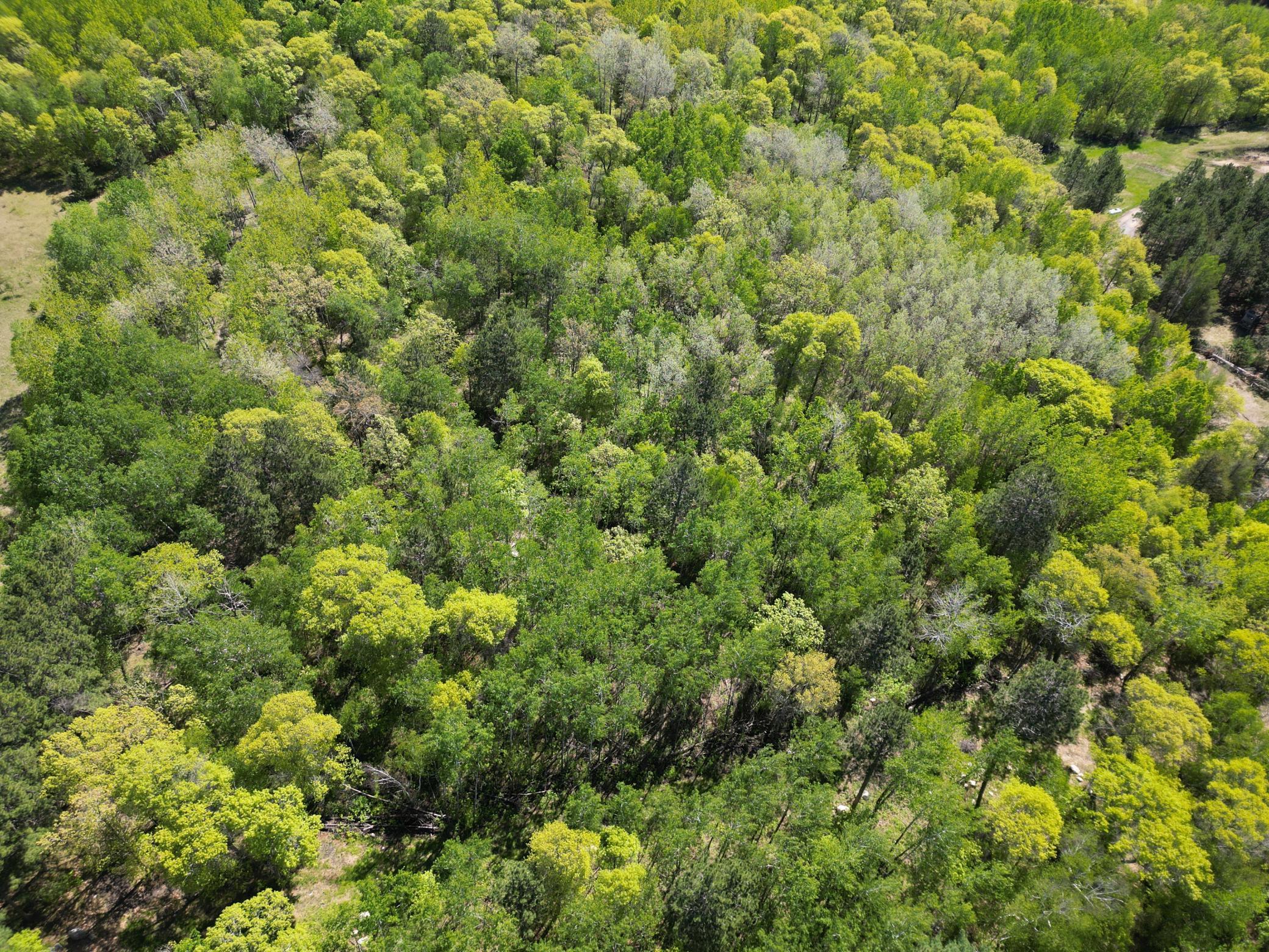 2 County 2 Nevis, MN 56467 - Photo 7 of 11