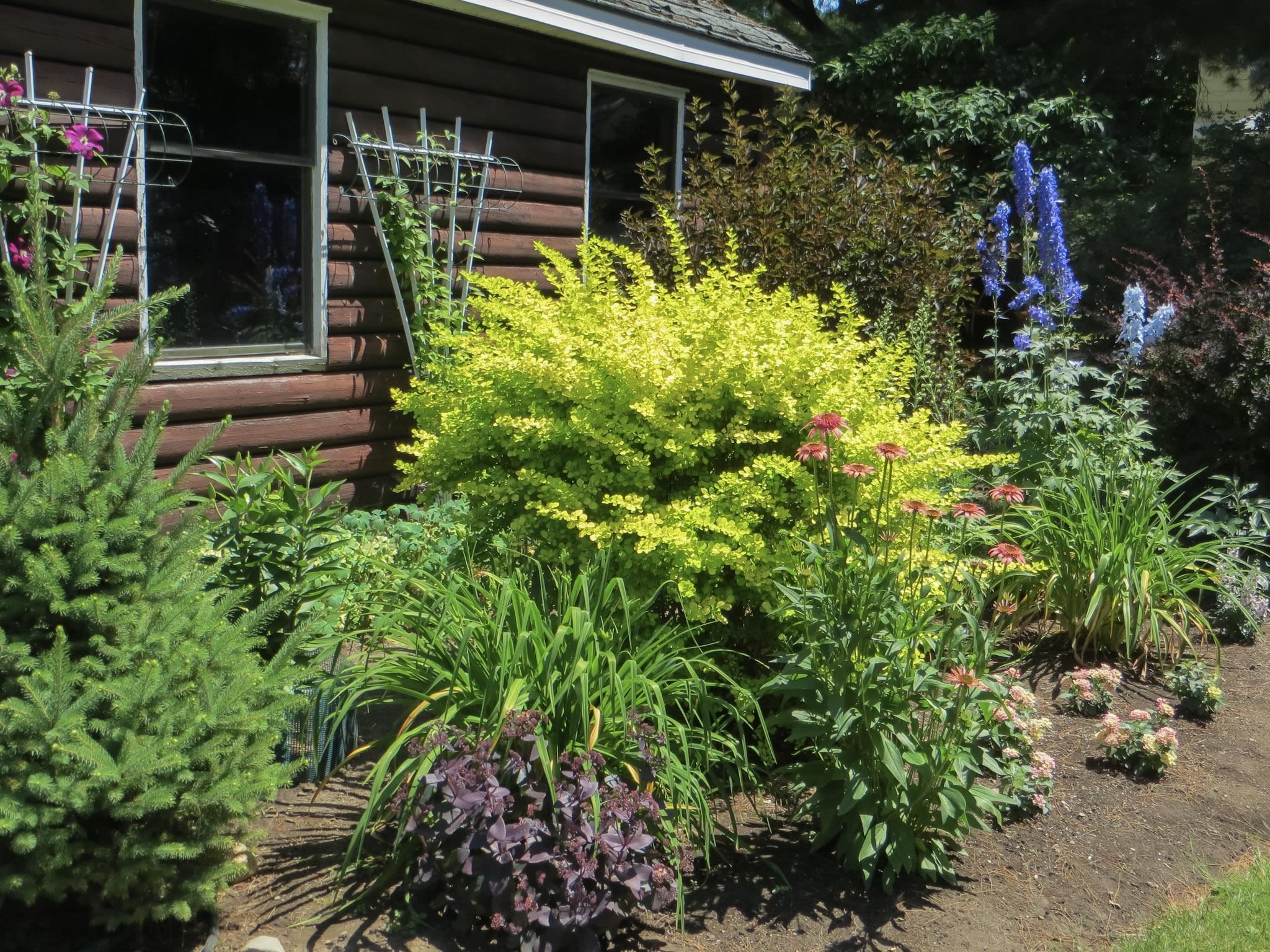 4131 West Shore Road Isle La Motte, VT 05463 - Photo 13 of 60