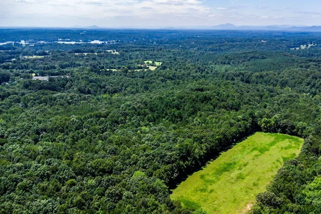 a view of a city with lush green forest