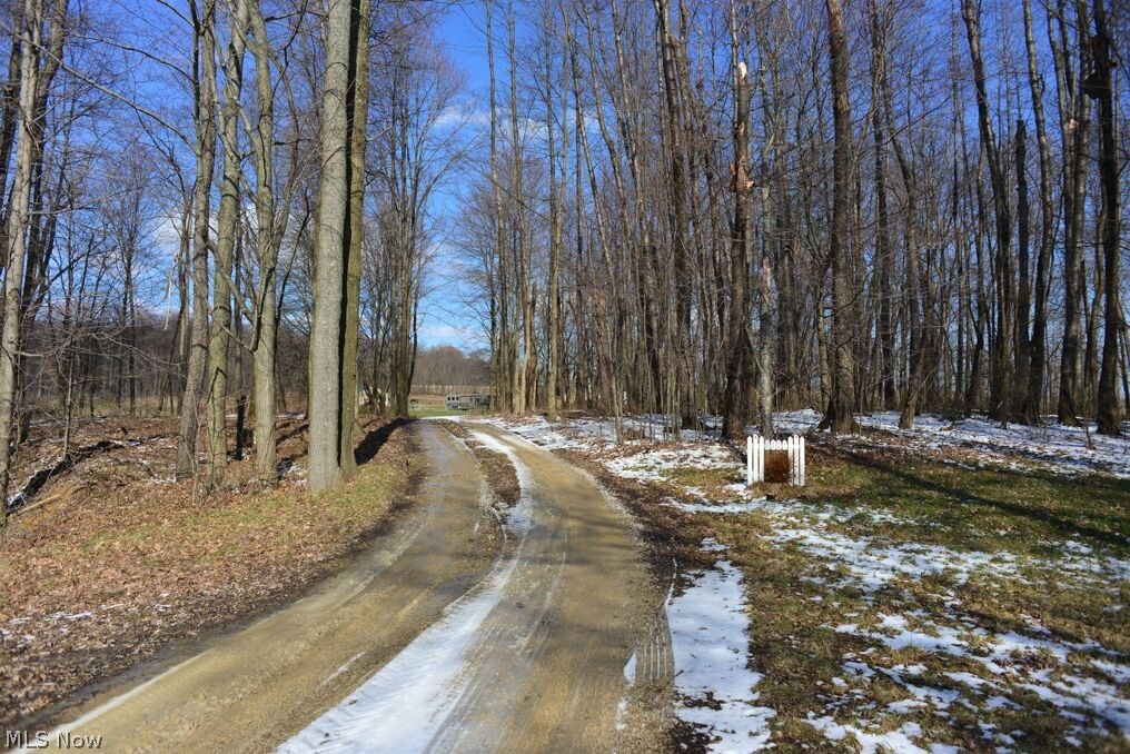 811 West Hutton Road Wooster, OH 44691 - Photo 25 of 27 The winding drive leading to your new home.