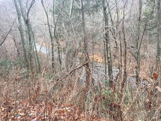 Poga Road Butler, TN 37640 - Photo 2 of 10