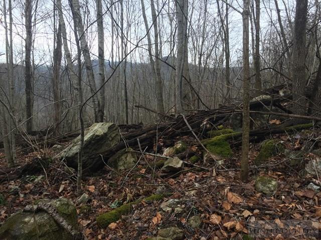 Poga Road Butler, TN 37640 - Photo 3 of 10