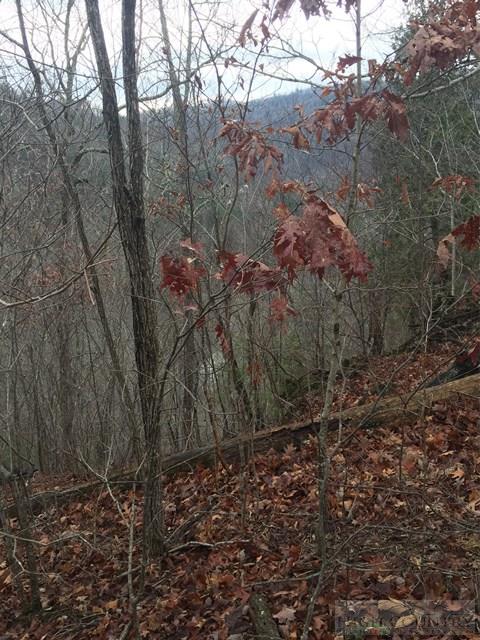 Poga Road Butler, TN 37640 - Photo 4 of 10