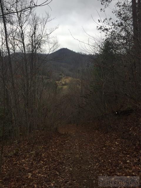 Poga Road Butler, TN 37640 - Photo 5 of 10