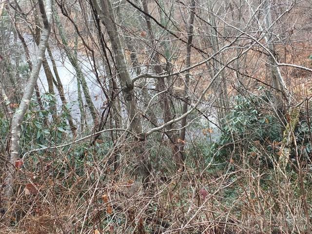 Poga Road Butler, TN 37640 - Photo 8 of 10