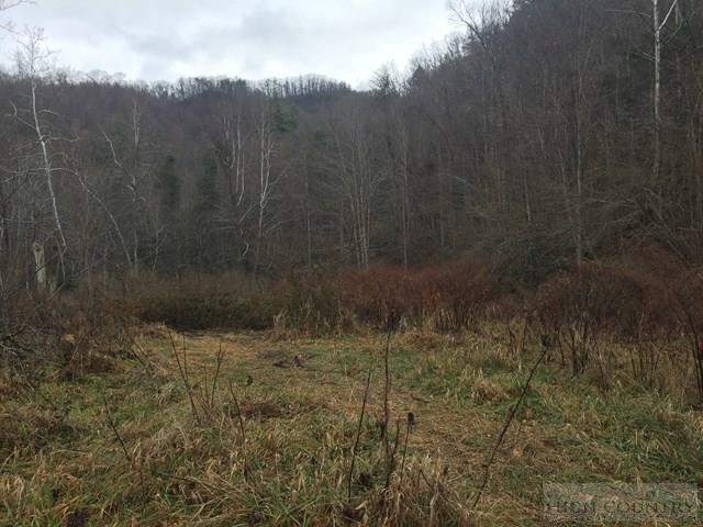 Poga Road Butler, TN 37640 - Photo 10 of 10