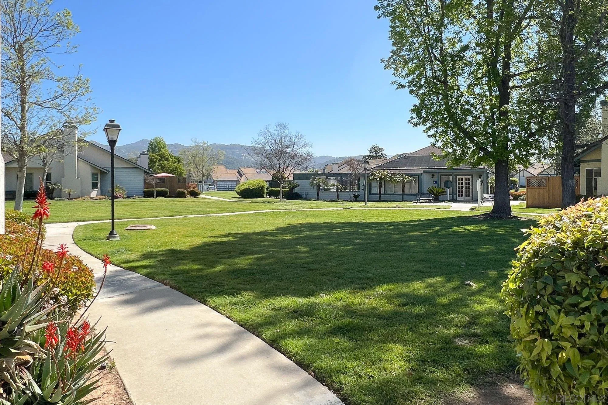 467 Nantucket Glen Escondido, CA 92027 - Photo 24 of 26 a view of a park with large trees